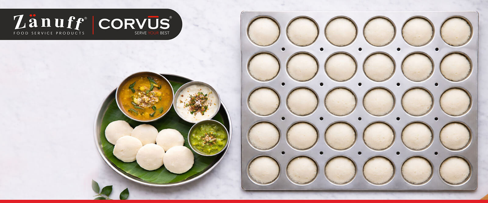 New Product Launch: 2/1 Idli Tray for Professional Kitchens